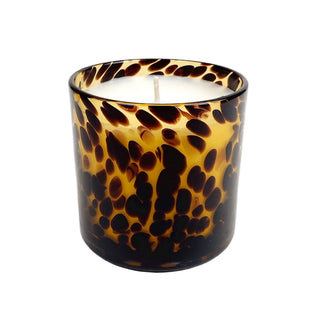 Cassis Vanilla Amber Tortoise Soy Blend Candle