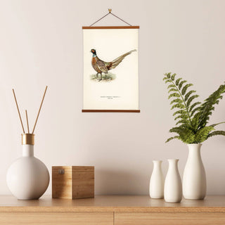 Ring-necked Pheasant Art Print by The von Wright Brothers