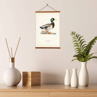 Von Wright Brothers Mallard Duck Art Print