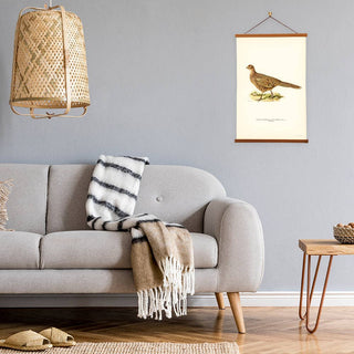 Von Wright Brothers Pheasant Art Print