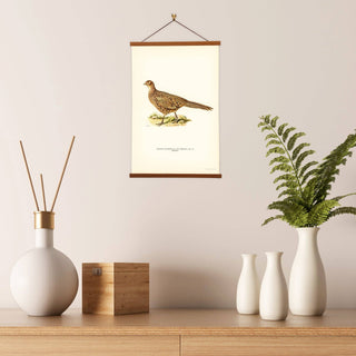 Von Wright Brothers Pheasant Art Print