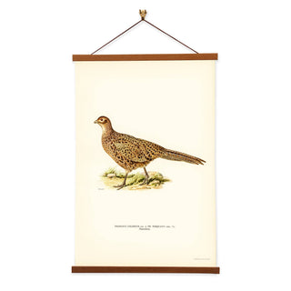 Von Wright Brothers Pheasant Art Print