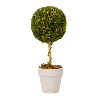 Boxwood Topiary   Green   4x10.25x4