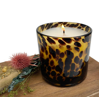 Cassis Vanilla Amber Tortoise Soy Blend Candle