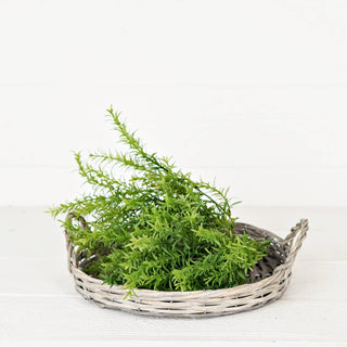 Flat Willow Basket