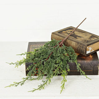 Mixed Green Cypress Spray