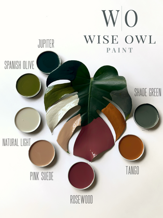 wise owl paint new lineup jupiter, spanish olive, natural light, pink suede, rosewood, tango, shade green all on a monstera leaf with white background