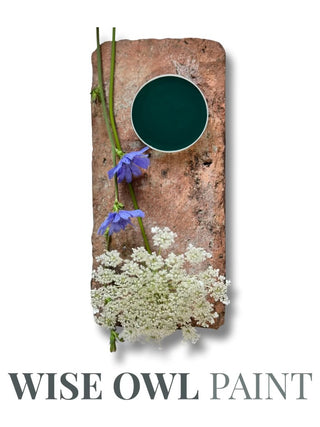 Wise owl paint jupiter green on brick background with white and purple accent flowers