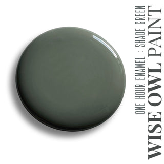 Chalk Paint in Shade Green from Wise Owl Paint - Chalk Synthesis Paint