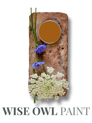 warm brown orange chalk paint on brick background with floral accents