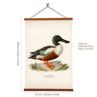 Von Wright Brothers Duck Art Print