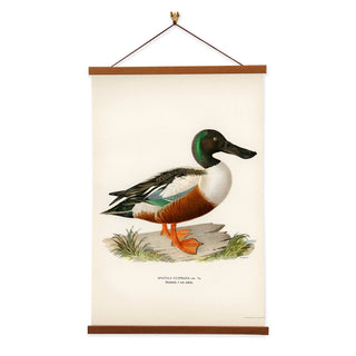 Von Wright Brothers Duck Art Print