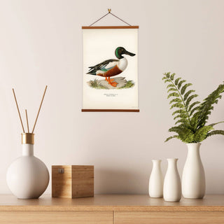 Von Wright Brothers Duck Art Print