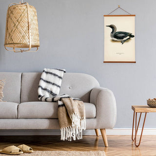 Black-throated Loon Art Print Banner