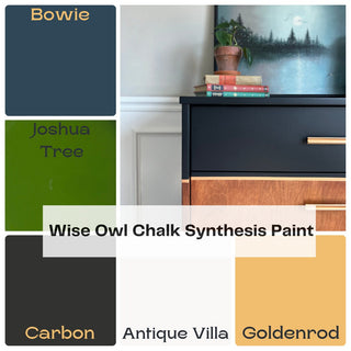 Joshua Tree Wise Owl Chalk Synthesis Paint, green chalk paint for furniture, furniture refinishing paint chalk style paint blending paint