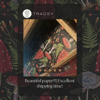 Mushroom Forest Drawer Liner