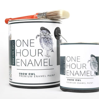 One Hour Enamel Paint - The Lone Harevariation1987Quart